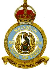 19-squadron